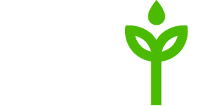 GUMIN LLC